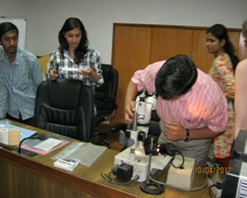 National Museum Institute of History of Art Conservation and Museology New Delhi Events photo 6